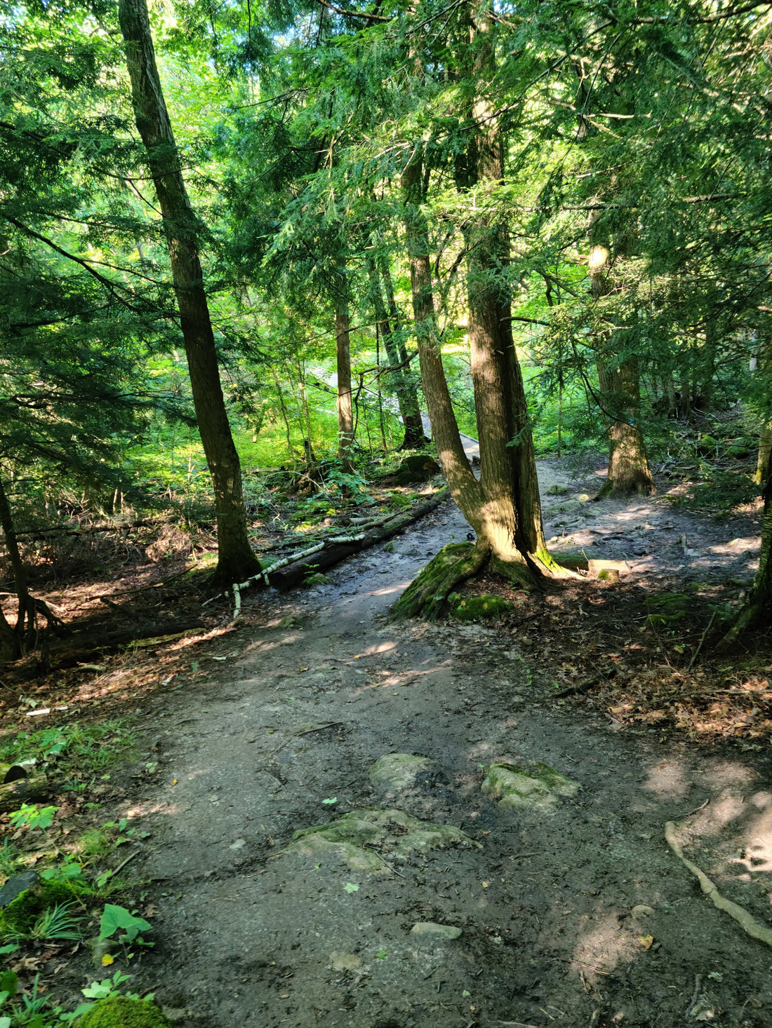 Welcome to Escarpment Running!